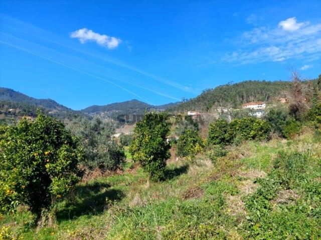 Terreno Goães