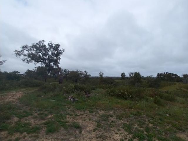 Terreno Grândola