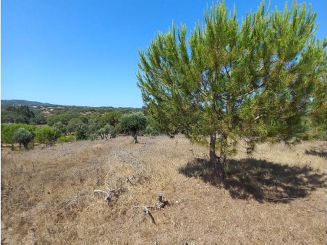 Terreno Grândola