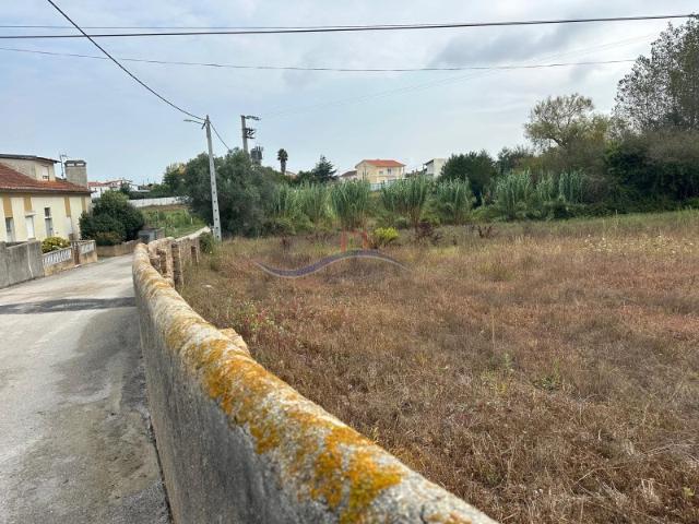 Terreno Granja, Monte Real