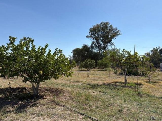 Terreno Habitacional de 6 Ha en Venta | Zona Sur de León | Uso de Suelo habitacional