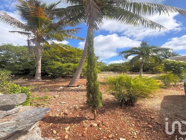Terreno Habitacional en Telchac Pueblo, Yucatán, a 15 min. de la Playa