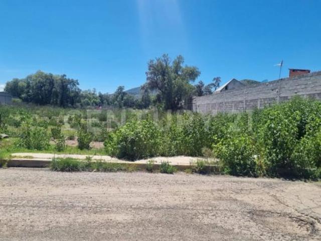 TERRENO HABITACIONAL EN VENTA
