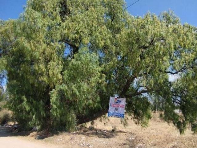 Terreno Habitacional en Venta