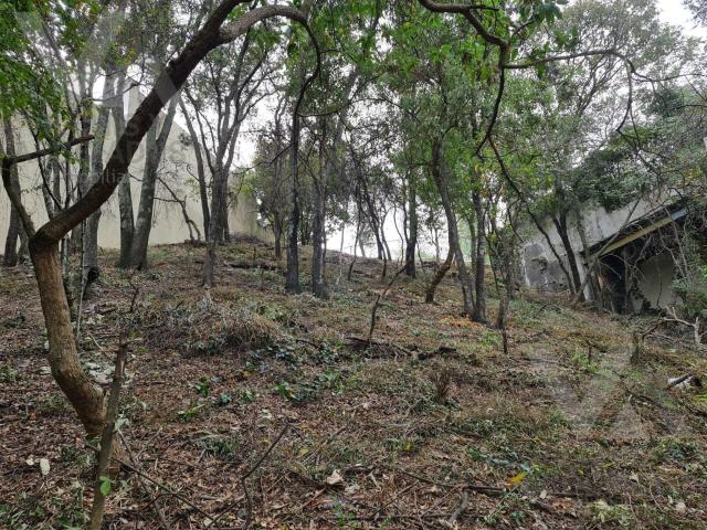 TERRENO HABITACIONAL EN VENTA, CLUB DE GOLF LOMAS COUNTRY
