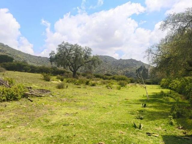 Terreno habitacional en venta en Tepetlaoxtoc de Hidalgo, Tepetlaoxtoc, México