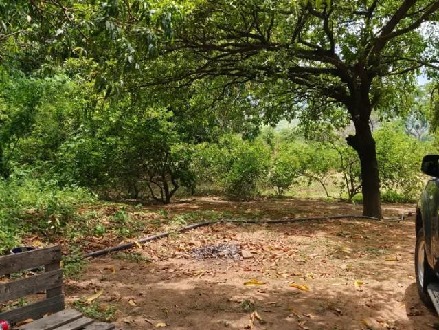 Terreno Habitacional en Venta en Ampliación Covadonga, Chiapa de Corzo Terrenos d preventa