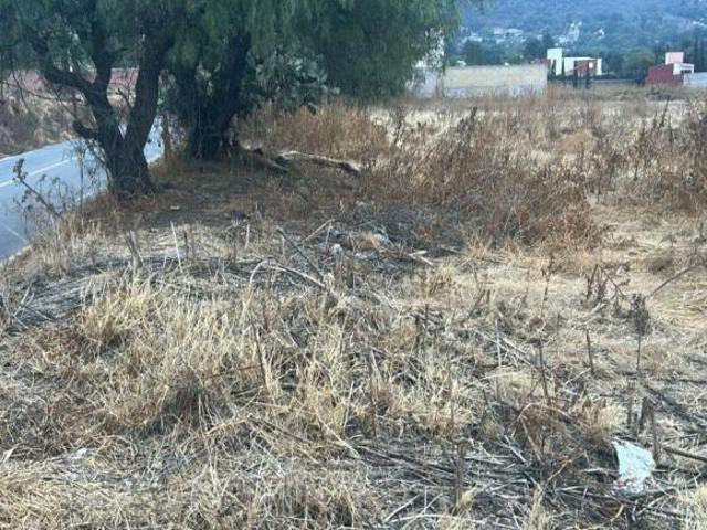 Terreno habitacional en venta en La Purificación Tepetitla, Texcoco, México