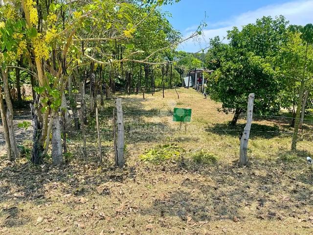 Terreno Habitacional en Venta en Medellín y Pigua, Tabasco Oportunidad