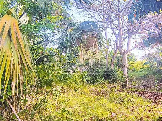 Terreno Habitacional en Venta en Medellín y Pigua 1ra. Sección, Centro, Tabasco