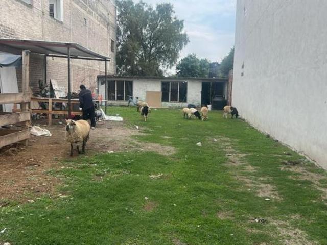 Terreno habitacional en venta en San Diego, Texcoco, México