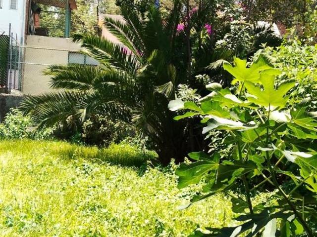 TERRENO HABITACIONAL H/2/40 EN COUNTRY CLUB COYOACÁN