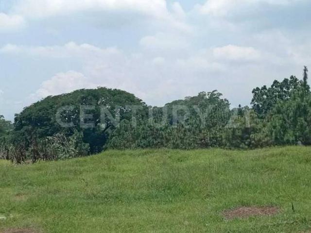Terreno Habitacional o Comercial en venta en Fracc. San Rafael Cuauhtémoc, Col