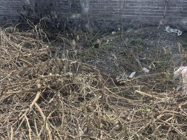 Terreno habicional con uso de suelo en VENTA San Nicolas Tlalpan