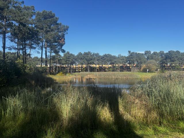 Terreno Herdade da Aroeira | 1.640 m2