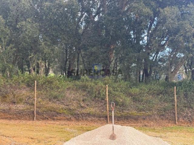 Terreno Hortas, Azinheira Rio Maior