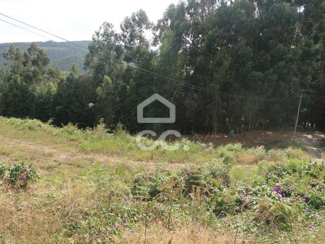 Terreno, Idães, Felgueiras