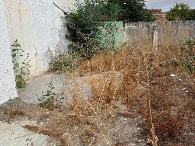 Terreno Ideal para Construir tu Hogar en Olivenza