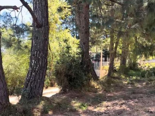 Terreno Ideal para Cabaña con Servicios