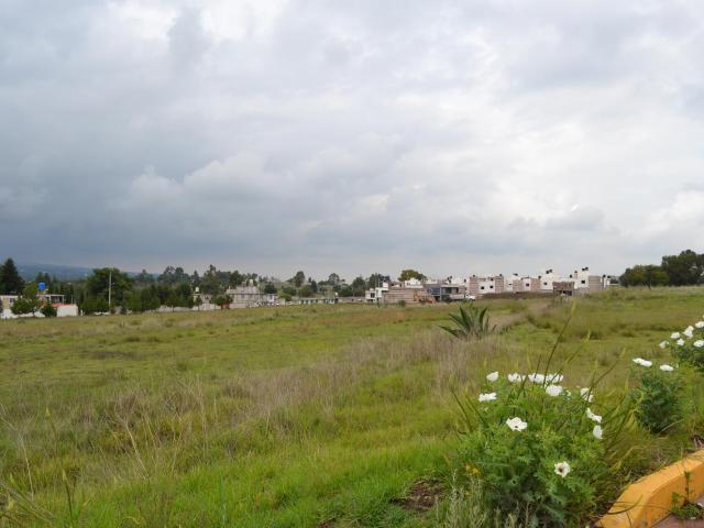 Terreno Ideal para Desarrolladores