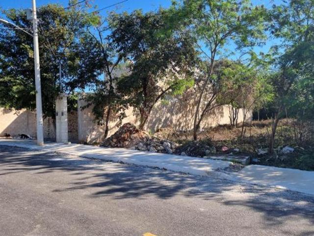 Terreno ideal para desarrollar a un costado de Solana Residencial