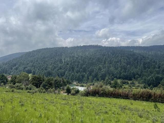 Terreno ideal para desarrollar en Cañada de Alferez con espectacular vista
