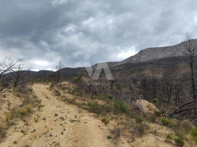 Terreno ideal para desarrollo en Los Lirios