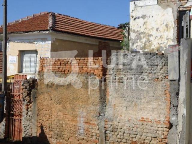 TERRENO IMIRIM