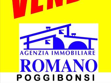 Quartaia, Siena Toscana, Toscana - Cantina