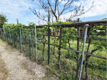 Via Giovanni Pieraccioli, Galciana, Prato Toscana, Emilia Romagna