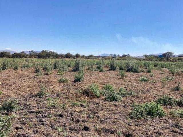 TERRENO EN VENTA 10,427 m² IXTLAHUACAN DE LOS MEMBRILLOS