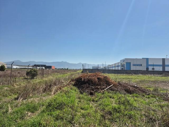 Terreno industrial 1 hectarea