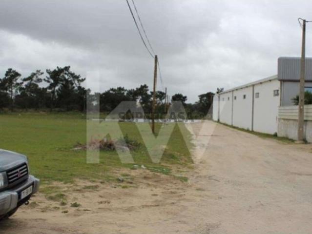 TERRENO INDUSTRIAL | 75.000 m² | MONTIJO