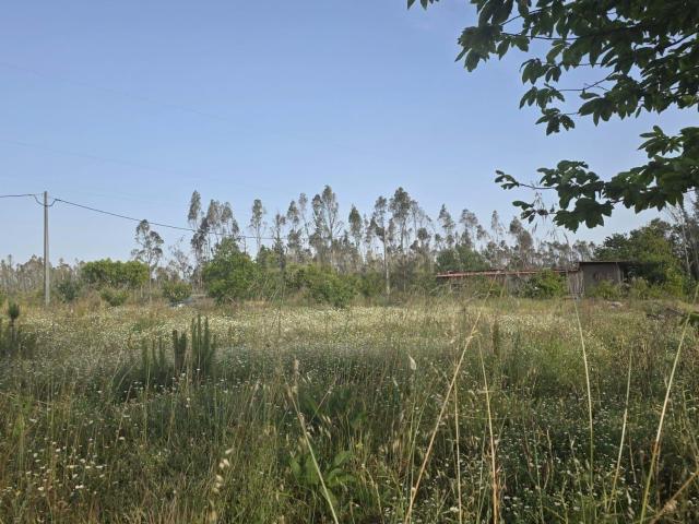 Terreno Industrial com Grande Potencial em Garcia, Marinha Grande | 8 217 m2 |