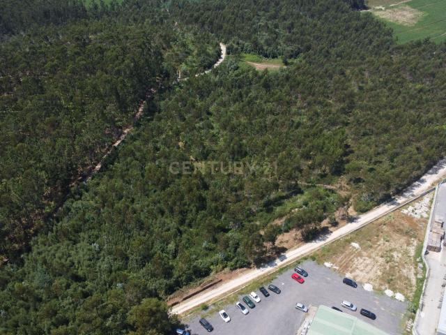Terreno Industrial com 40.445 m² e PIP Aprovado