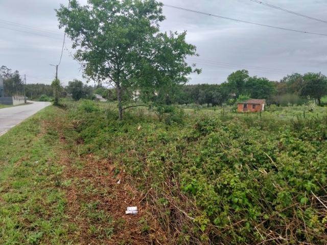 Terreno Industrial com 8.702m² Localização Premium junto à A25 Albergaria a Velha