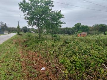 Terreno Industrial com 8.702m² Localização Premium junto à A25 Albergaria a Velha
