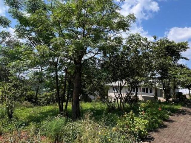 Terreno, Industrial, Alto Feliz, RS