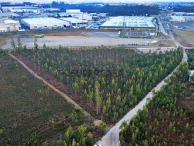 Terreno industrial em Albergaria a Velha