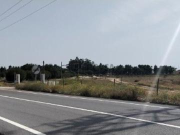 Terreno industrial em Almeirim