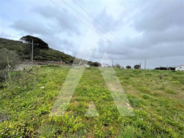 Terreno Industrial em Porto de Mós