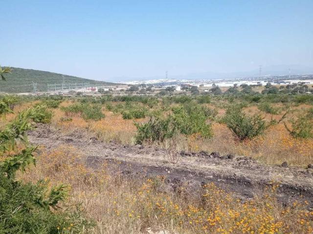 Terreno Industrial en Los Cues a 7 minutos de la Autopista 57