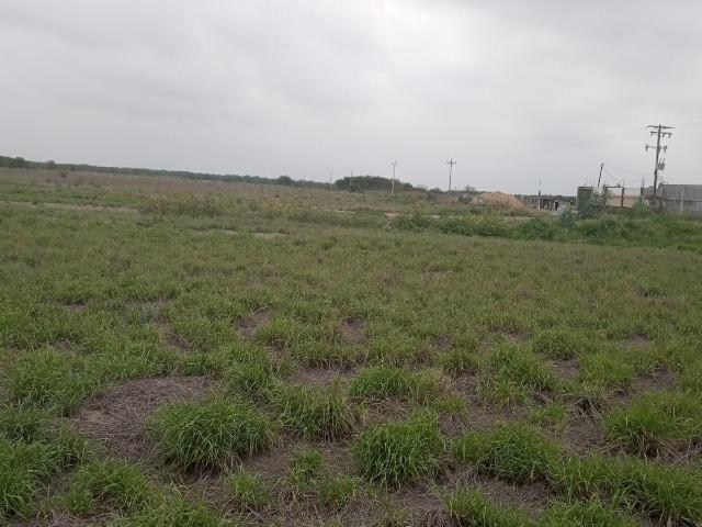 TERRENO INDUSTRIAL EN RENTA EN SALINAS VICTORIA
