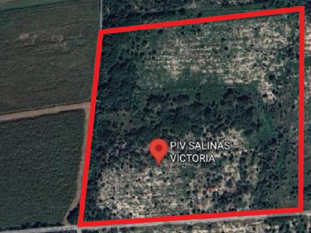 Terreno industrial en renta en Salinas Victoria