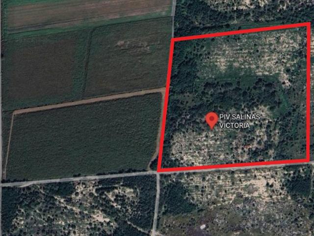 Terreno industrial en renta en Salinas Victoria
