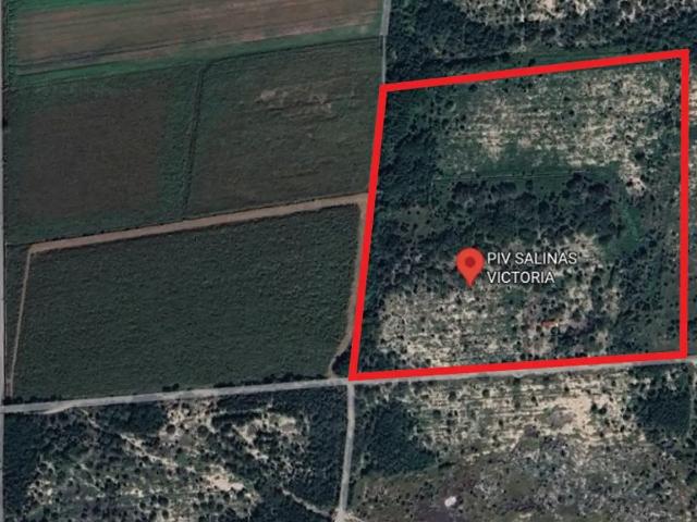 Terreno industrial en renta en Salinas Victoria