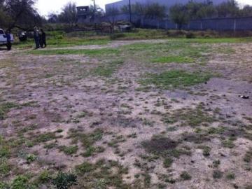 Terreno industrial en renta en Pesquer?a