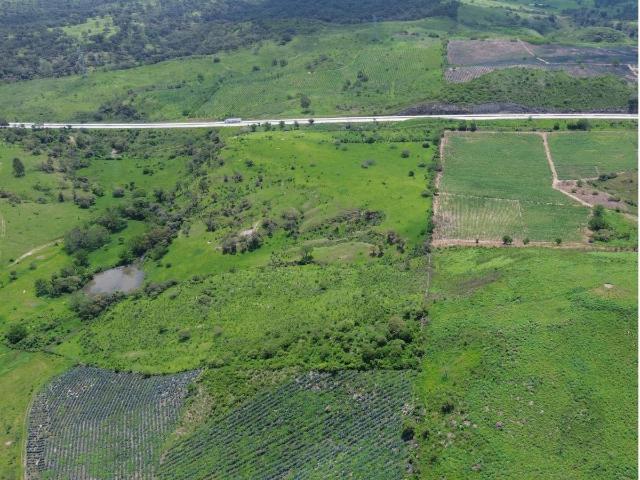 Terreno industrial en Tala