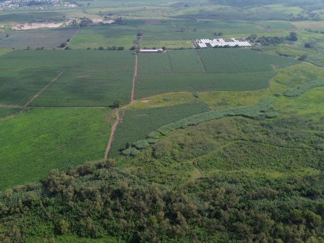 Terreno industrial en Tala