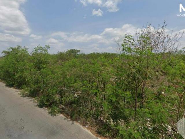 TERRENO INDUSTRIAL EN VENTA EN CARR MERIDA UMAN